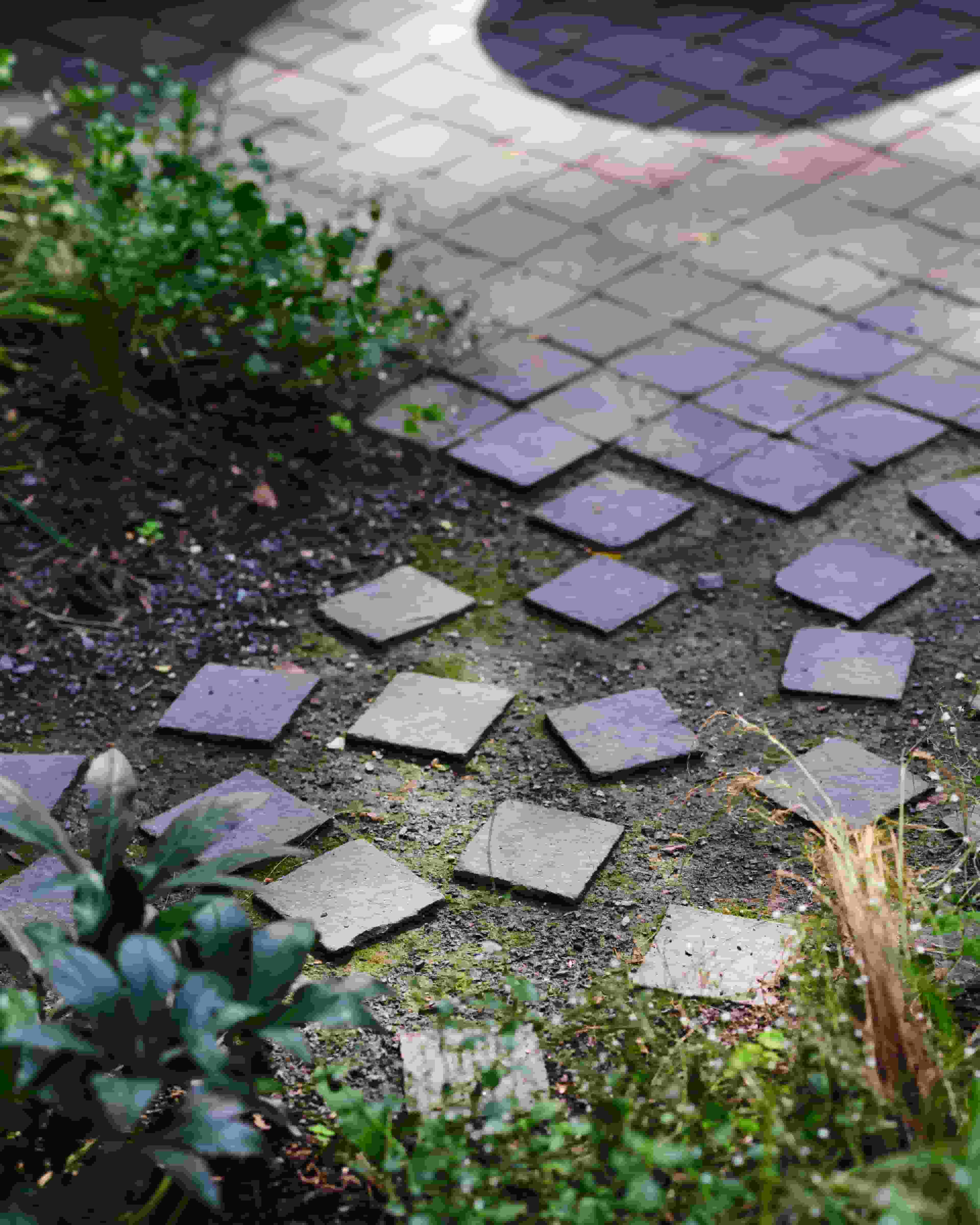 Landscape design of backyard garden by Nishiel Patel in Brooklyn