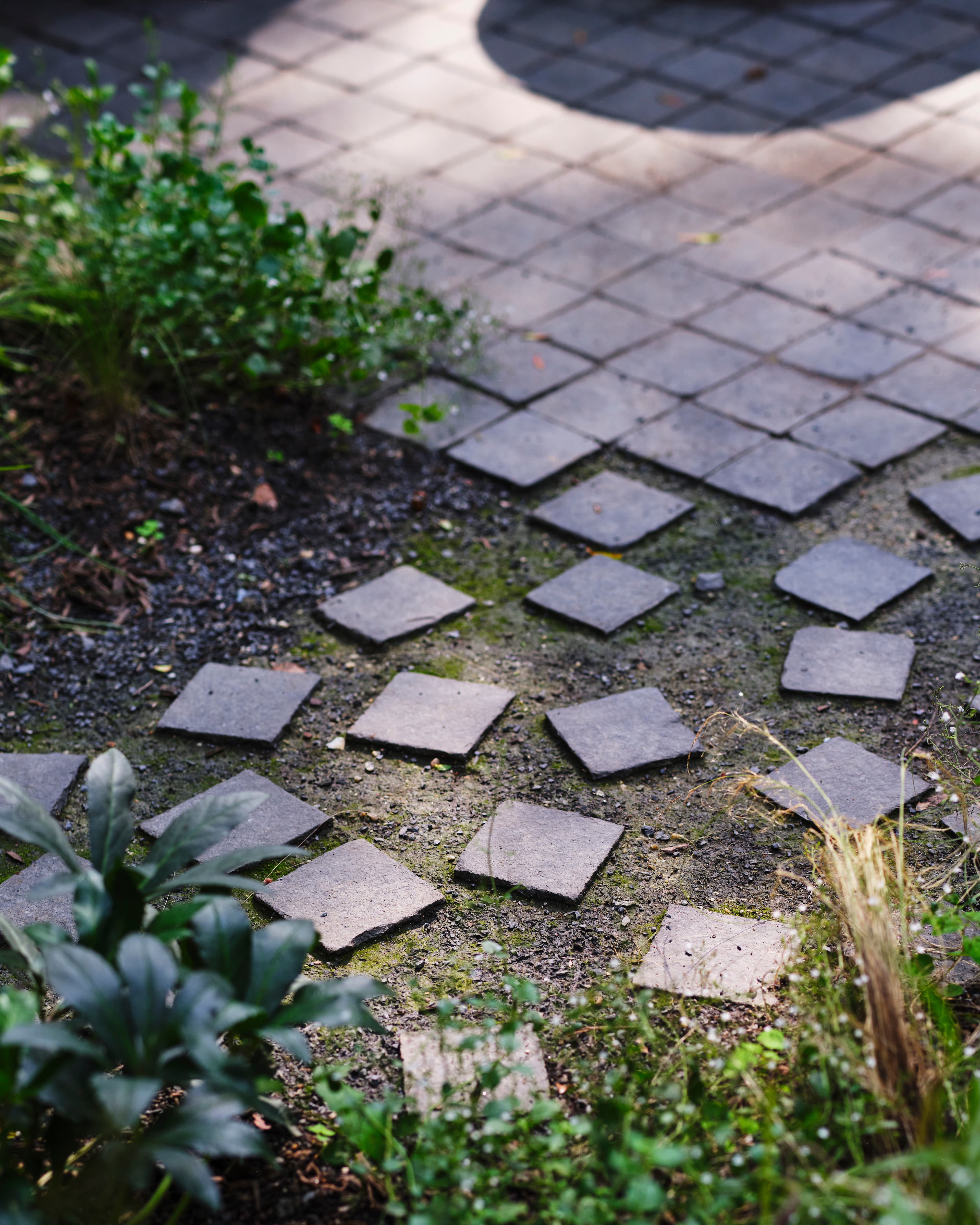 Detail of scattered square basalt cobbles dissolving from a tight grid into the planting, echoing the home's square motif