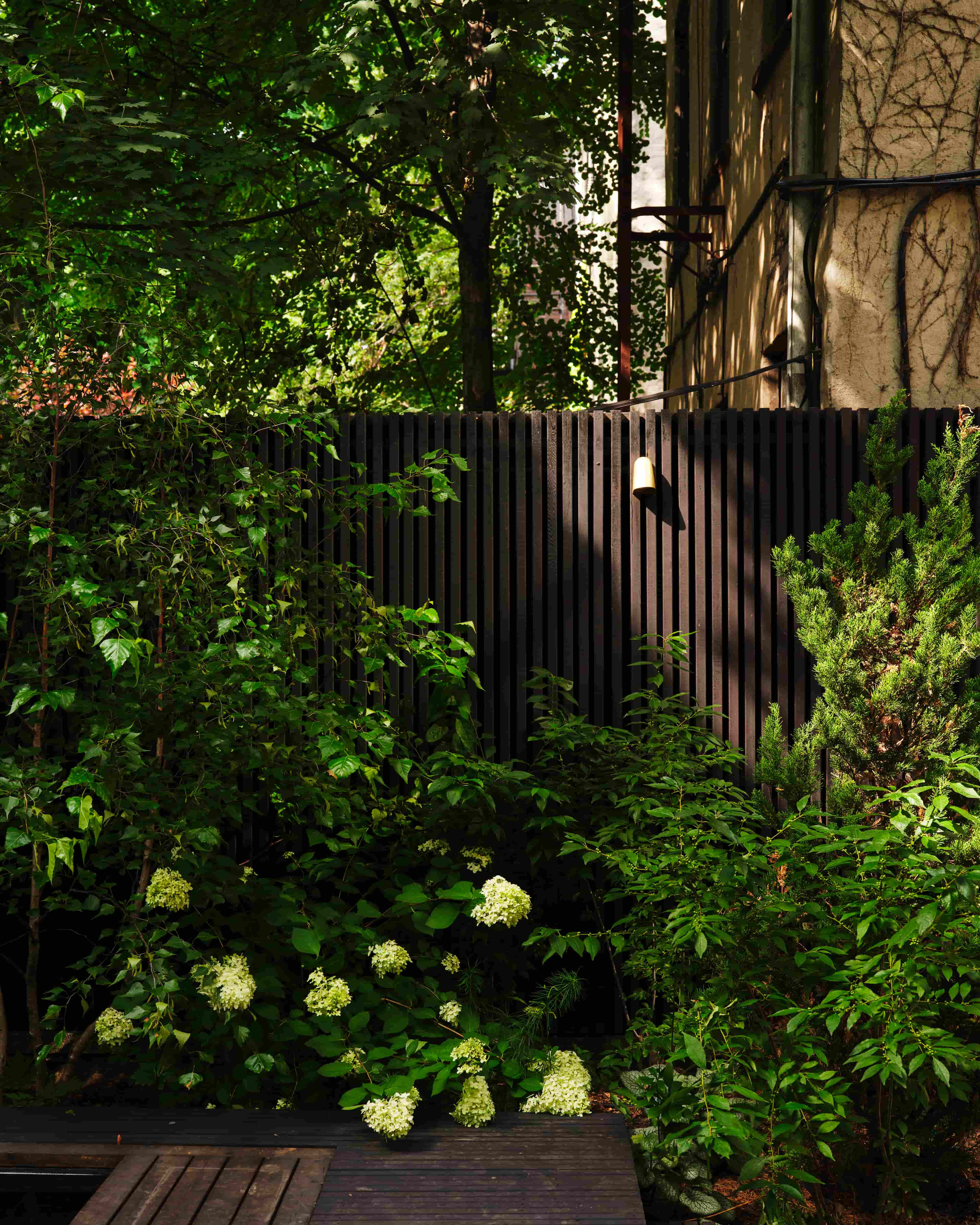 Landscape design of backyard garden by Nishiel Patel in Brooklyn