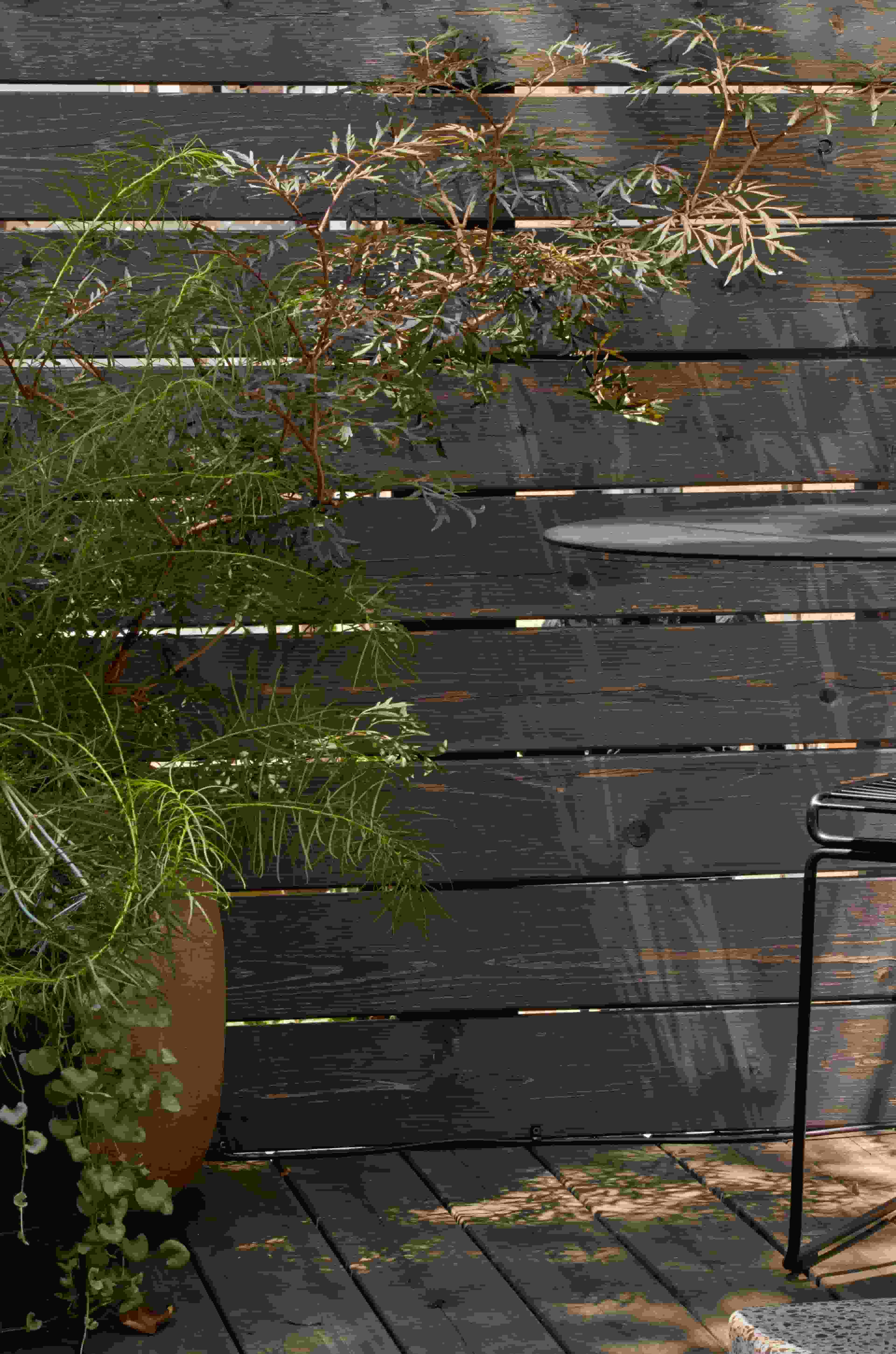 Landscape design of backyard garden by Nishiel Patel in Brooklyn