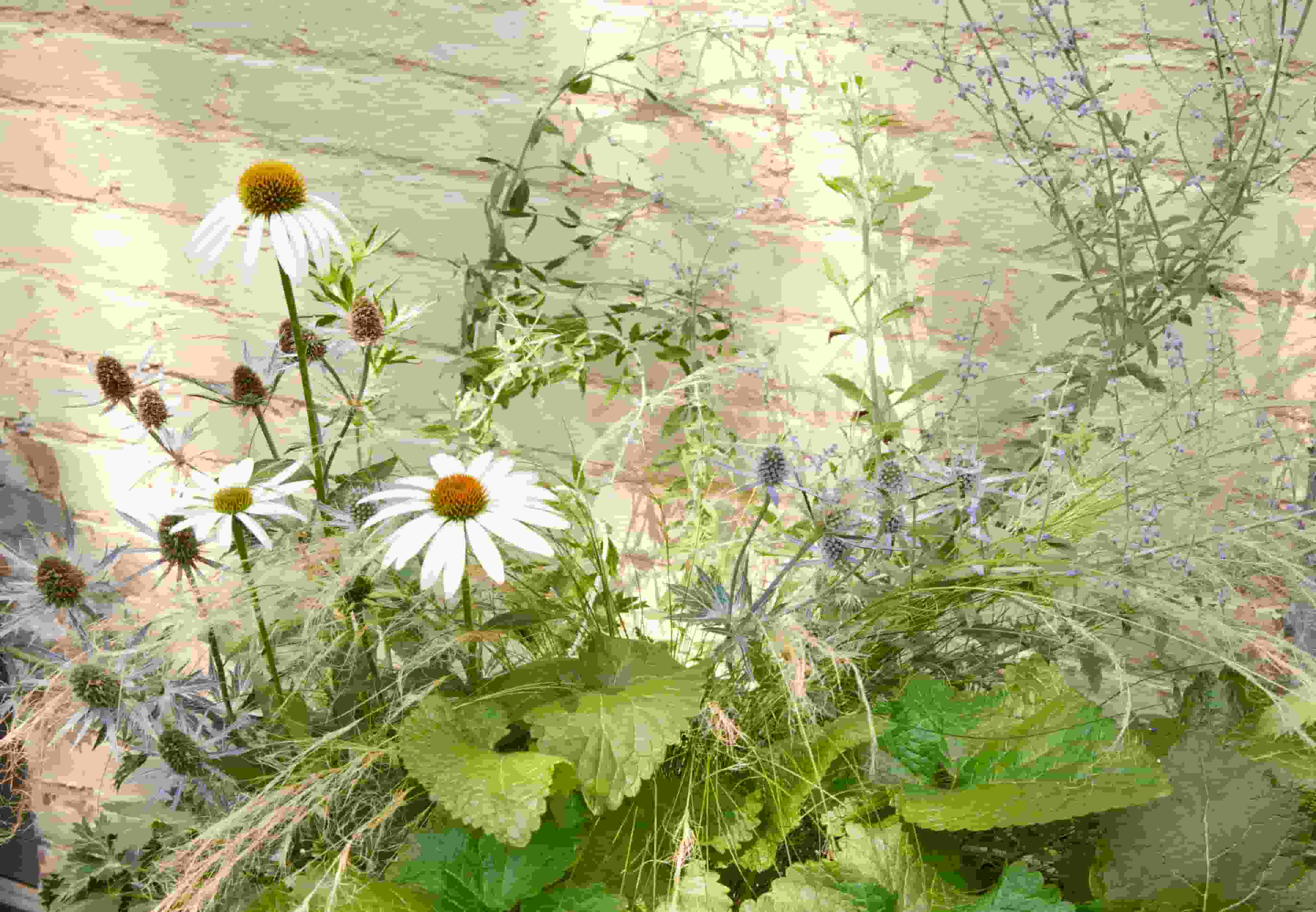 Landscape design of backyard garden by Nishiel Patel in Brooklyn