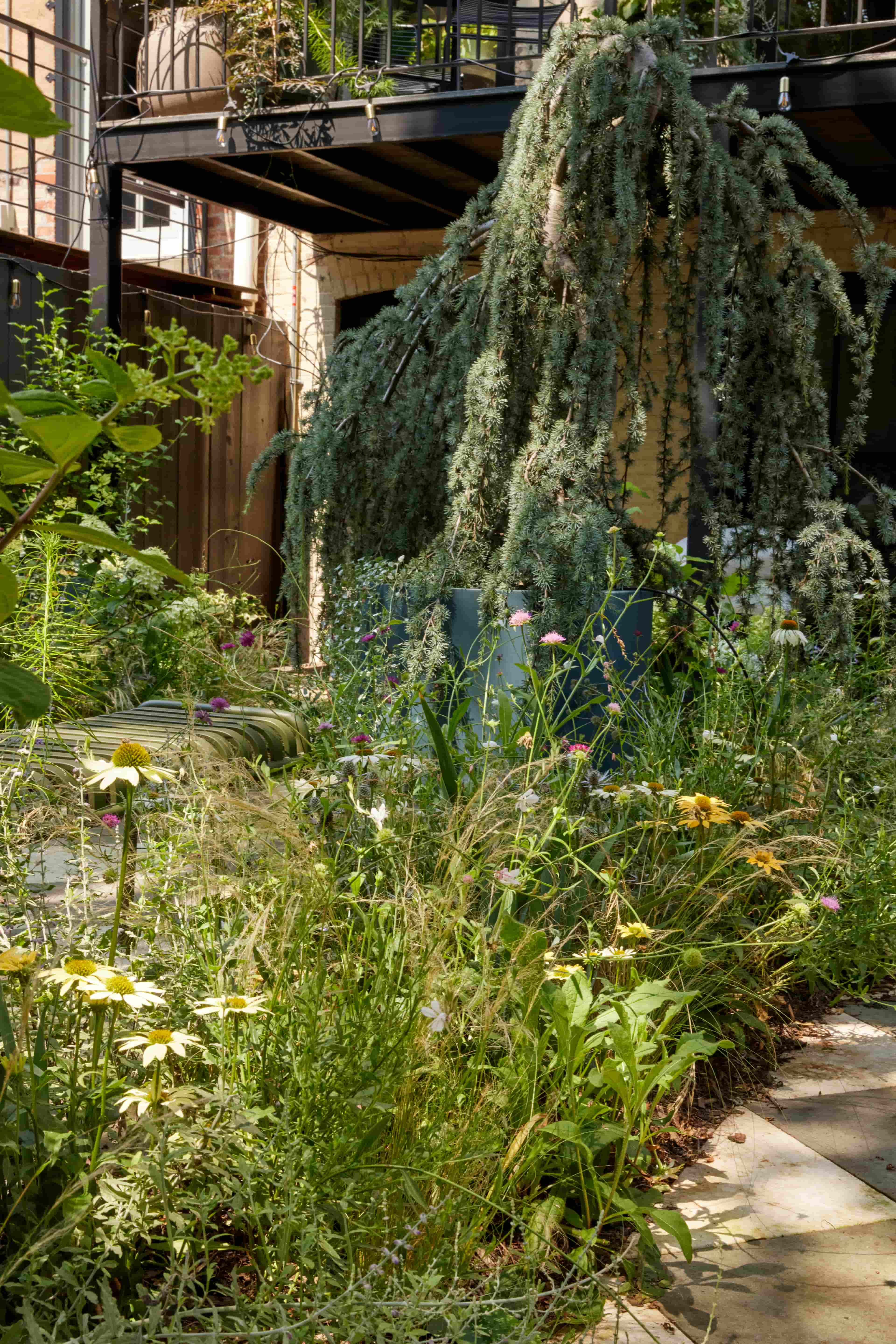 Paving pattern in Bedstuy
