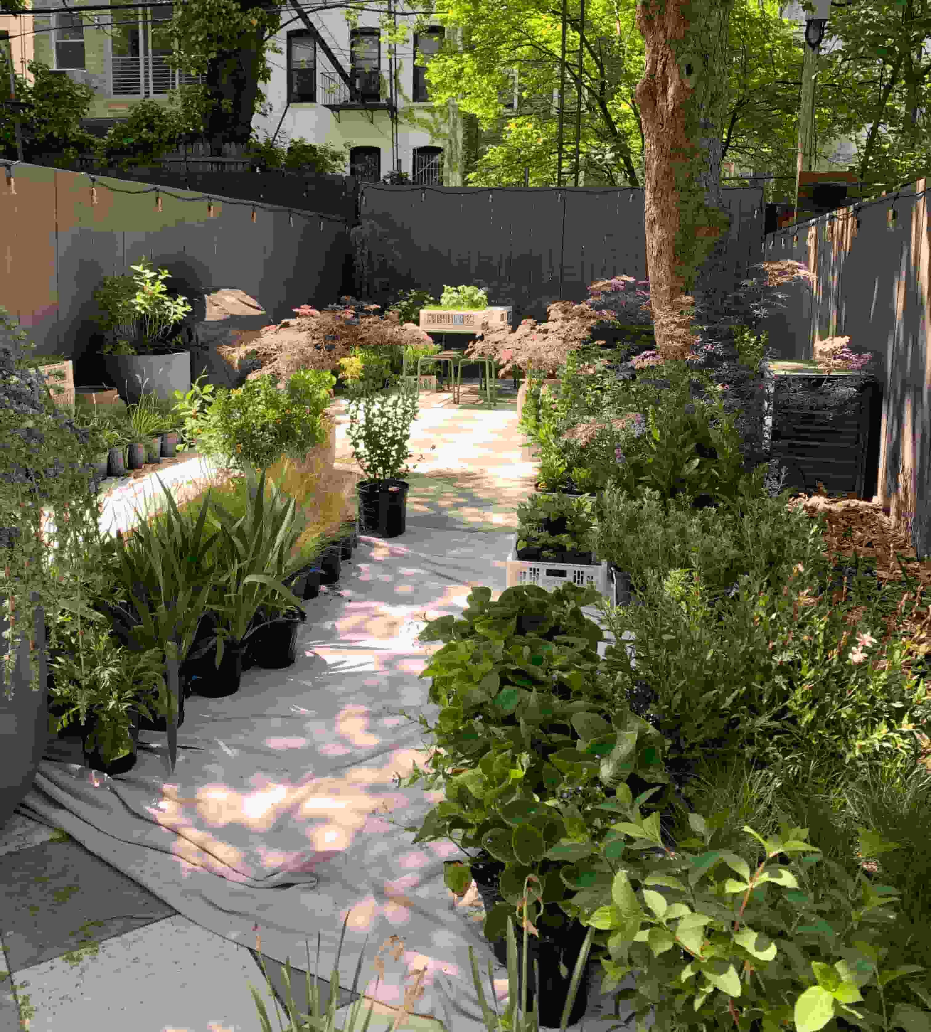 Landscape design of backyard garden by Nishiel Patel in Brooklyn