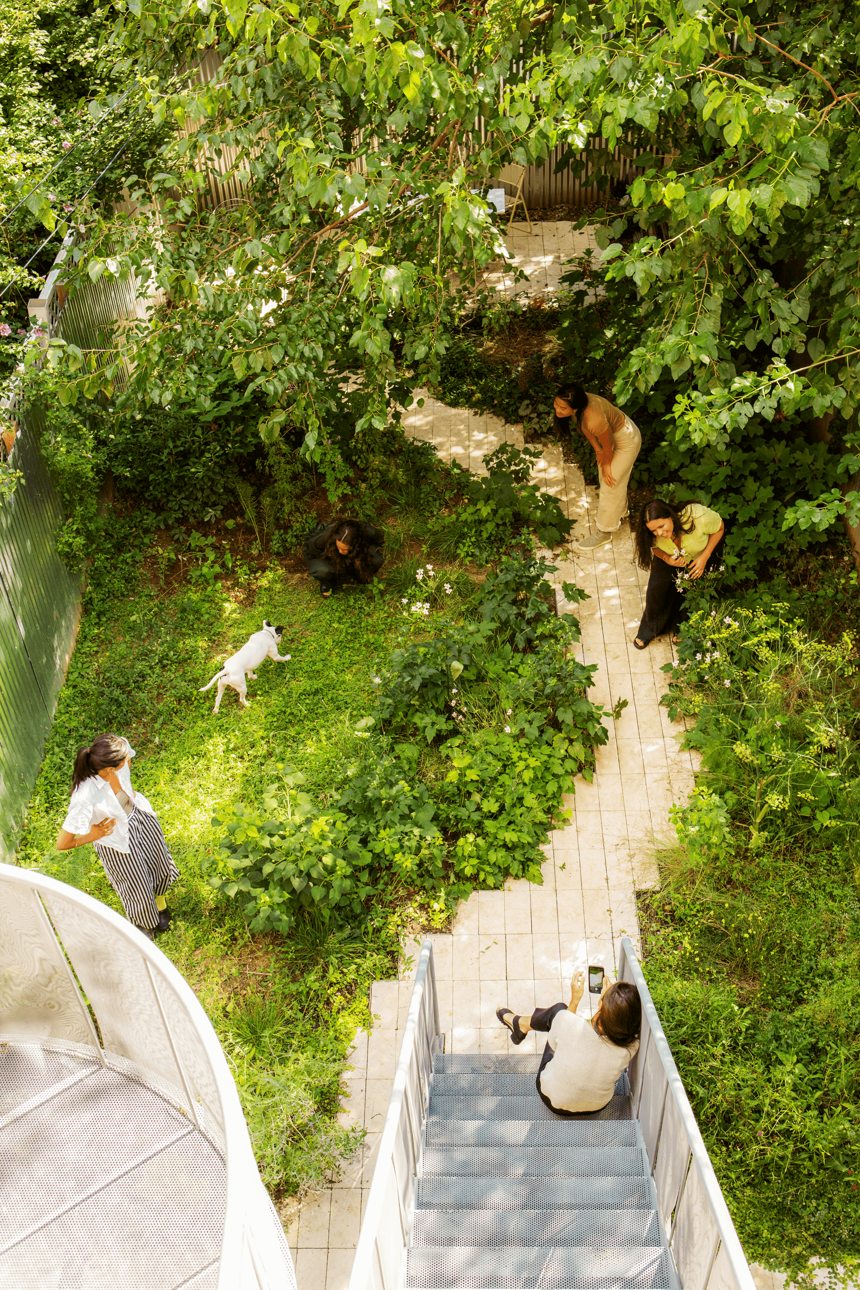 Landscape design of backyard garden by Nishiel Patel in Brooklyn