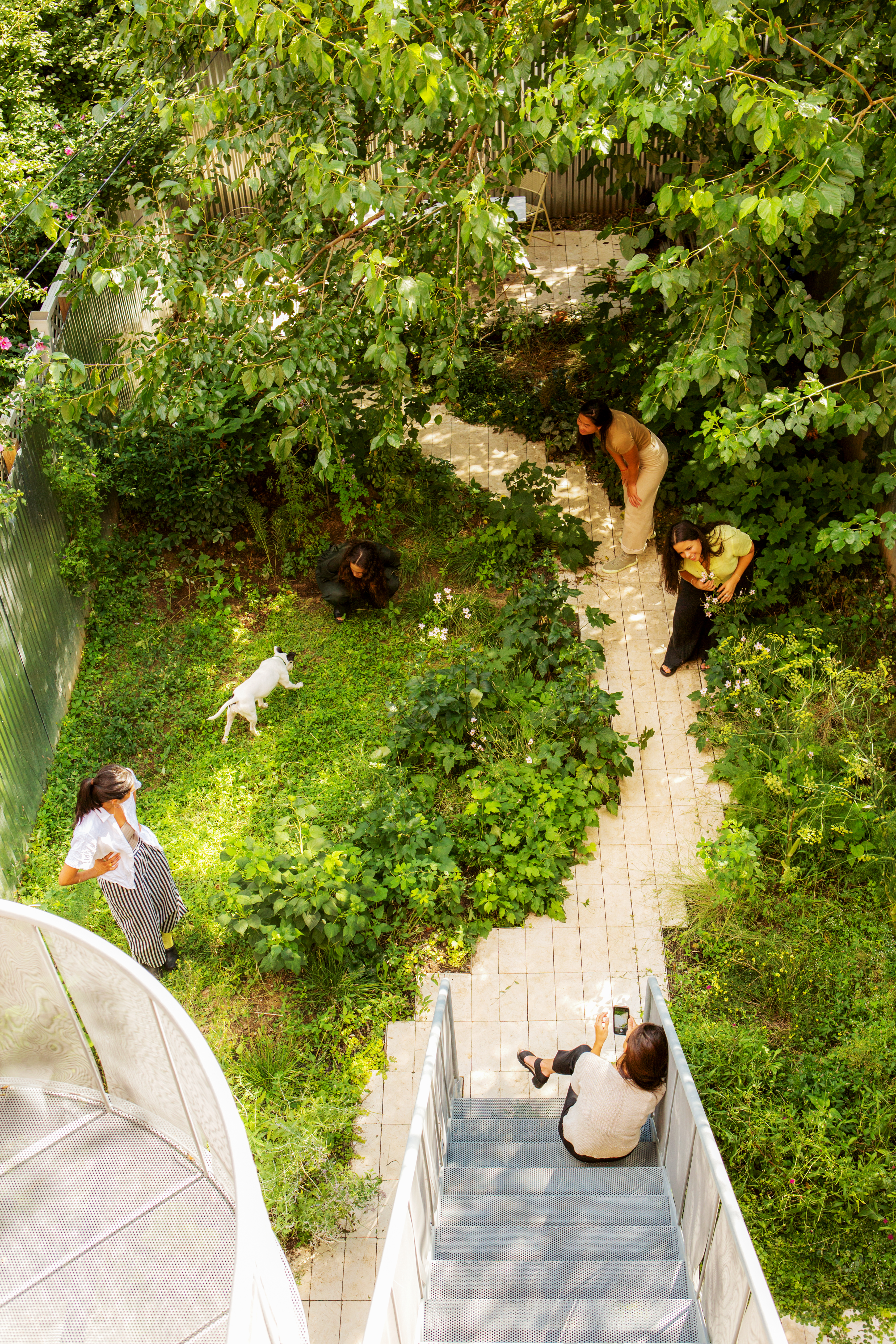Overhead view of the intergenerational garden with family and friends gathered along winding limestone paths and a dog on the green below the metal stair