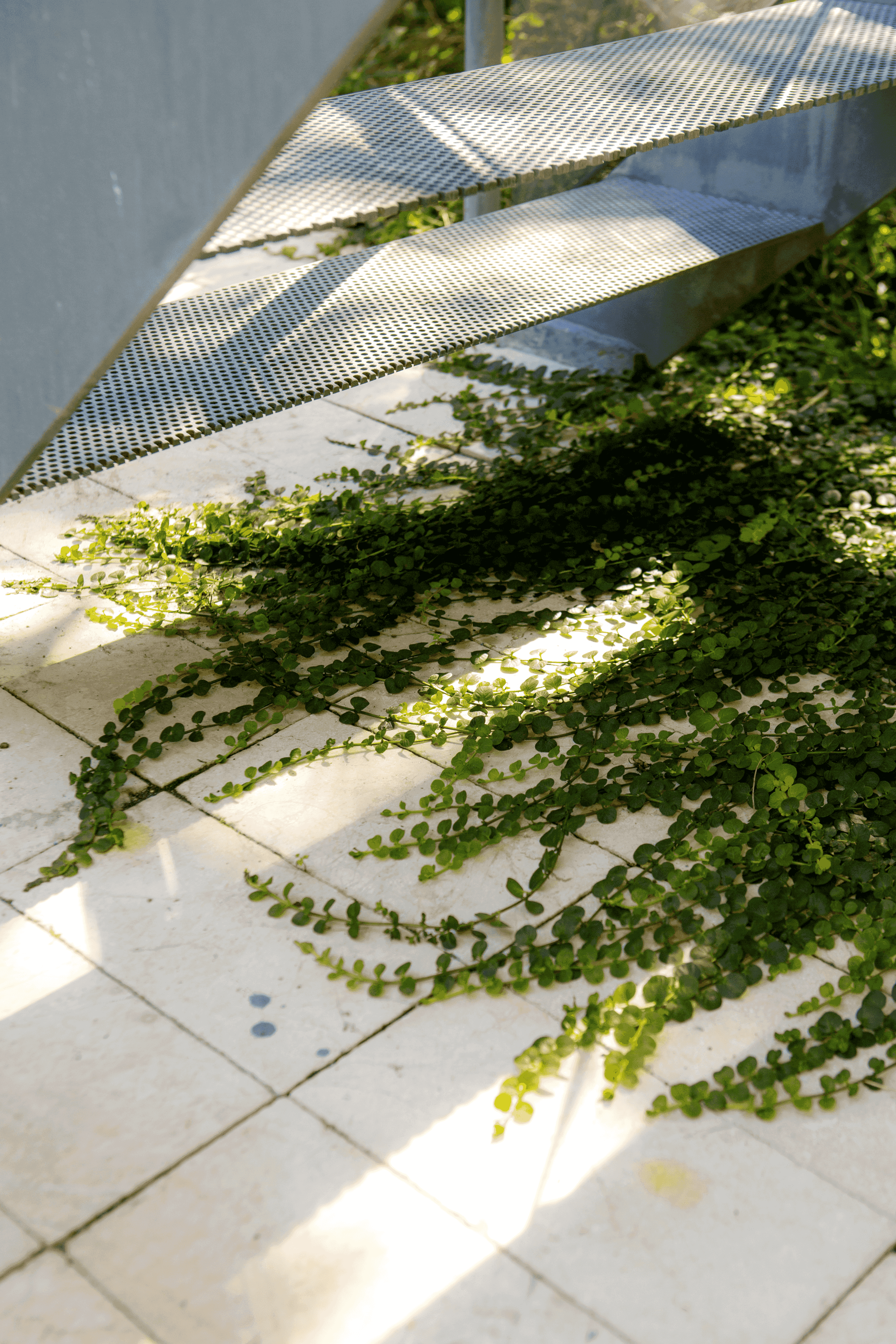 Landscape design of backyard garden by Nishiel Patel in Brooklyn