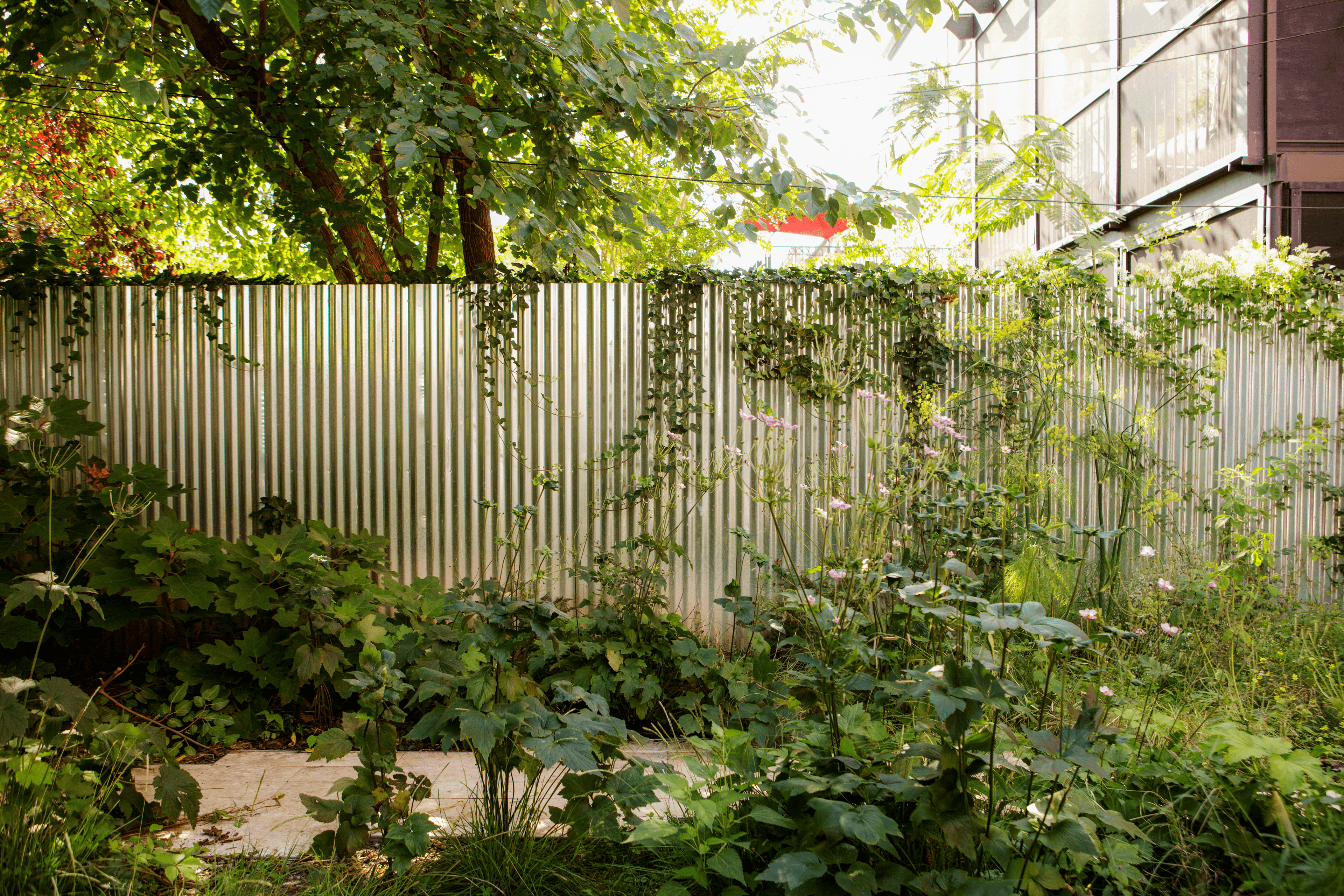 Landscape design of backyard garden by Nishiel Patel in Brooklyn