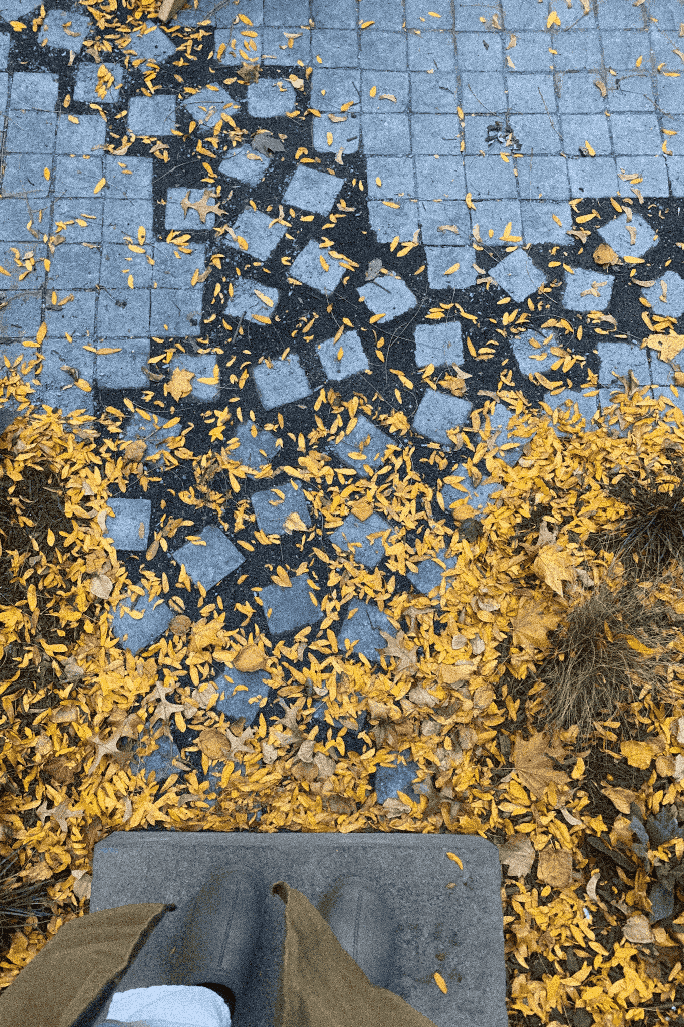 Landscape design of backyard garden by Nishiel Patel in Brooklyn