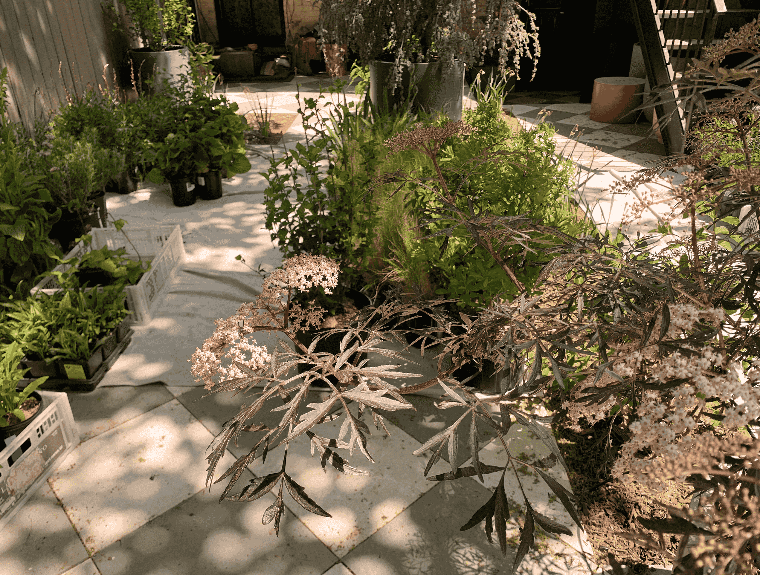 Landscape design of backyard garden by Nishiel Patel in Brooklyn